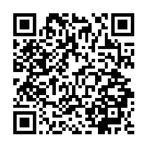 那里的确已经成为了庇护所世界和恶魔大军交战的最前线二维码生成