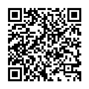 那里面的环境甚至已经恶劣到了连虫豸都无法生存下去的程度二维码生成