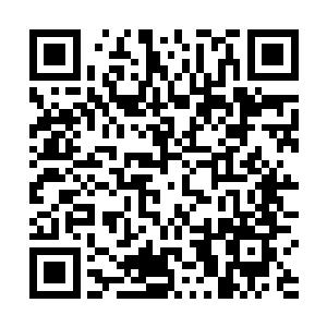 那重大的窗框和细碎的玻璃全都被他用被子给挡了下来二维码生成
