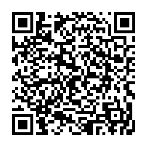 那锋芒尖锐的手指隐隐要在钟离归晚纤薄的雪白皮肤上划出一道口子似的二维码生成