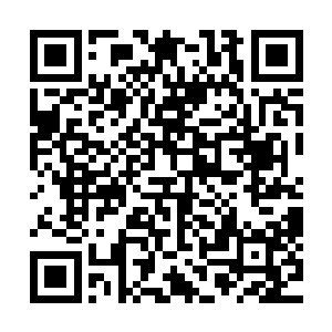 那长发男人已经抬起的拳头肯定会结结实实的砸在她的后背上二维码生成