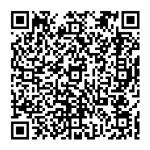 那龙宫之中一些实力较弱的水族士兵和侍女的眼中也纷纷浮现出了那充斥着狂暴杀意和战意的血色光辉二维码生成