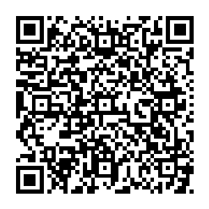 邪天乃是天荒古战场之中的至邪之气融合了无天黑莲之后化形而形成的诡异的存在二维码生成