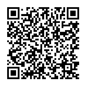 邵玄将老猎人新留下的兽皮卷里的字都写在石壁上给洞里孩子们复习二维码生成