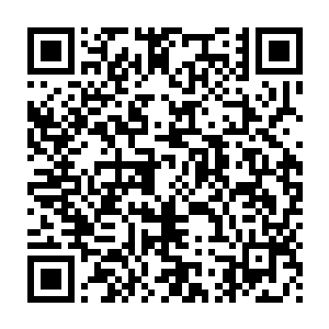 郑玉莲代表大股东金羊山矿业股份有限公司出任格润电器公司董事二维码生成