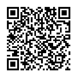 郑重表情问询我针对闽侯王的悬赏任我是否已经有了进展二维码生成