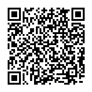 都不用等到明年今年的十二月底就可以从副岛飞机直飞首都和明珠了二维码生成