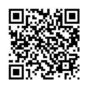 都从未动用过龙珠作为御敌的手段二维码生成