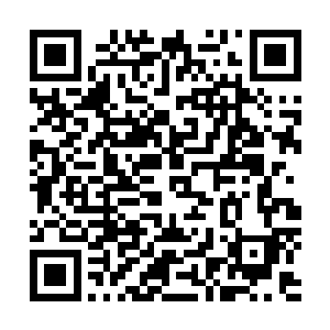 都代表着一个伏羲用大数据堆砌和实时演算出来的虚拟世界二维码生成