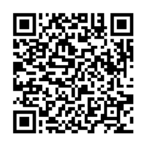 都可以在体内构造一个用来辅助计算记忆的本命算器二维码生成