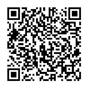 都可以看出奥斯卡的确是想要在商业和艺术之间寻找到一个更加合适的平衡点二维码生成