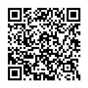 都在警戒着对方随时把他们身后的名牌给撕下来二维码生成