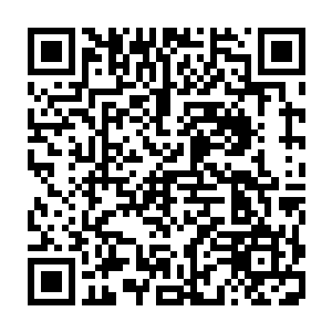 都如同原那般开始寻找大型的补天石开辟一个能够将种族传承下去的地方二维码生成