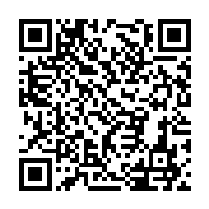 都已经让秦方激动的恨不得现在就飞奔过去占坑了二维码生成