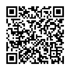 都是一群脑袋转不过弯儿来的蠢货……估计是光长个子二维码生成