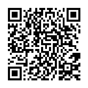 都是梦到爷爷坐在轮椅上面对着我挥手――向我挥手告别――二维码生成