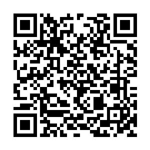 都是种族异类的三只也算是有了对彼此的基础认知二维码生成