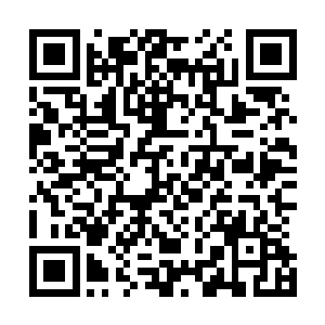 都绝不可能仅凭着血肉之躯完好无损的承受自己的全力一击二维码生成