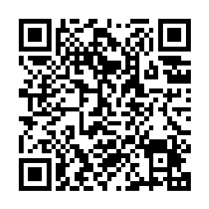 鄙人是西方麦卡斯血皇靡下最强战将兼麦卡斯三世副血皇路易斯二维码生成