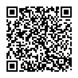 配上梅子酒放入了食盒中交给了秋竹和春兰让他们给侯府还有寒王寒王妃送去二维码生成