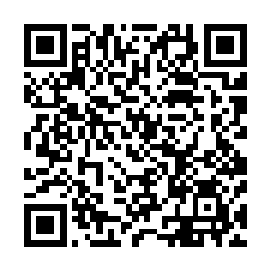 酒店服务人员只要能够达到苏叶演绎的代二三的百分之六十二维码生成