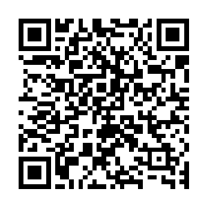 酒是靠粮食发酵过程中空气里几千种微生物综合起作用而形成的二维码生成