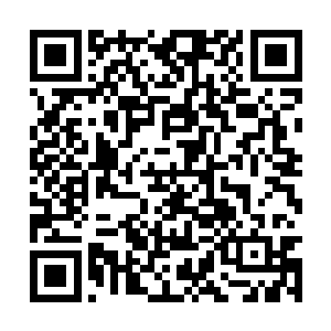 里将一个平凡甚至不可思议的故事讲述的温婉动人二维码生成