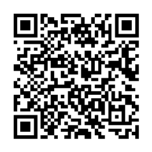 里所演绎的社会问题――冷漠让社会变得越来越糟糕二维码生成