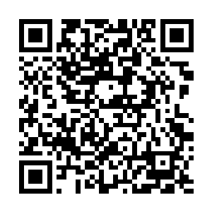 里的出色演出让他赢得了自己职业生涯的首次奥斯卡提名二维码生成