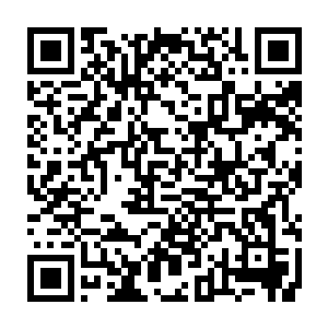 里面一袭红衣慵懒地斜靠在软榻上面的人便清晰落入了在场所有人的视野二维码生成