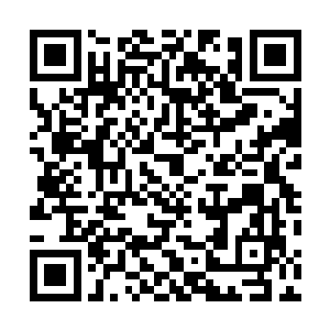 里面基本都是切萨雷带你出席一些活动的画面――说实话二维码生成