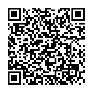 里面的缓冲化力结构的海绵状事物仅是边缘部分微微的一收缩而已二维码生成