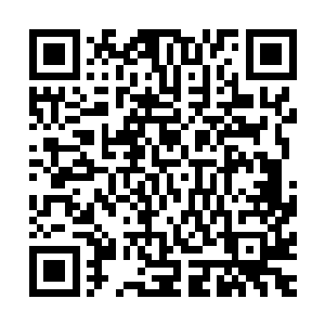 里面装着的是手术刀手术钳以及缝合伤口需要用到的针线等物二维码生成