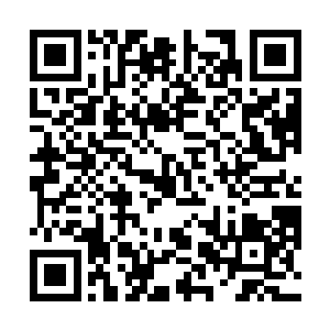 重大夫你又说谎……沈砚山都说你在我药里放了黄莲了二维码生成
