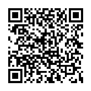 重新出现在大家视线之中的混沌宇宙却骗不了人二维码生成