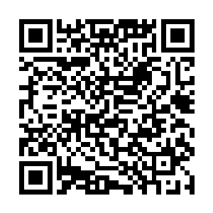 重新踩在灰黑色的柏油路上的妮娜伸了个大大的懒腰二维码生成