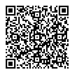 重点是在魂毒蛇活动区域的尽头有一片被苍白色毒液包围的地方那住着创造它们的鬼怪二维码生成