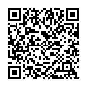 重葵和姬玄殇一起抬头还没有等他们有什么动作二维码生成