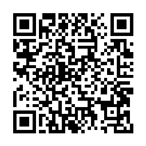 重重的摔在了倒在地上哀嚎的小弟的身上了……二维码生成