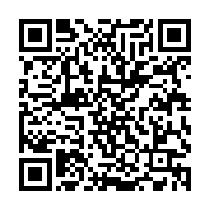 重重轰击在了那张由树枝和树叶交织而成的大网之上二维码生成