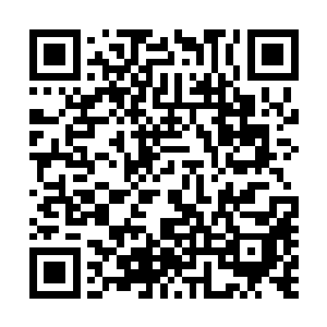 野泽武之向雷欢喜介绍了梅里万――塞斯内特集团的代表团二维码生成