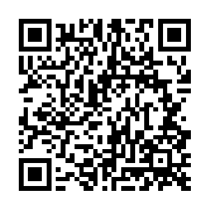 野熊部落和海熊部落的族长我会加封他们为宗主教之外二维码生成