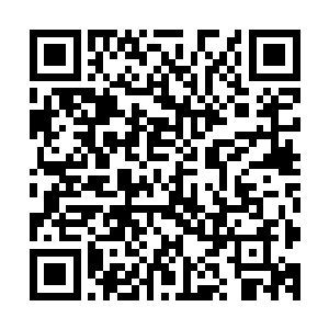 野蛮人的原战带着阿乌族勇士带回了第一批建筑用石料和猎物二维码生成