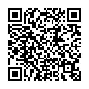 金吒和木吒心中的最后一丝耐心也终于被彻底的消磨殆尽二维码生成