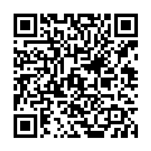 金家三剑客听着梁家家主梁月华的嘴里说出的信息二维码生成