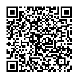 金木水火土体质和风雷电这一共十一种特殊体质修士身上的一丝精纯气息二维码生成