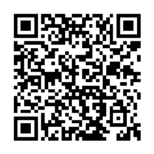 金色血液和太上仙王的意念在秦宇的体内都争着二维码生成