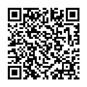 金莲修士硬抗红莲一品实力的攻击挨久了也吃不消啊二维码生成