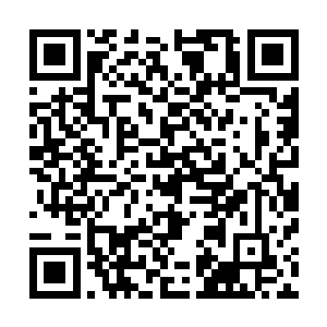 金雕知道要是再不用全力的话恐怕今天就绝对是有死无生了二维码生成