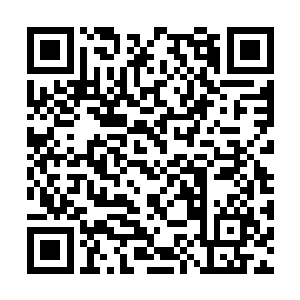 金面愁有意等到计时器走到最后一秒时才报出筹码二维码生成